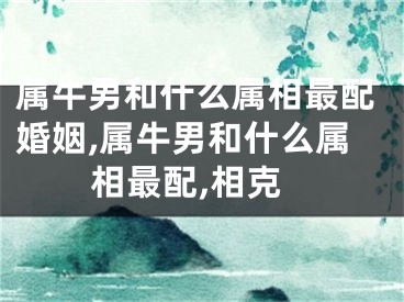 属牛男和什么属相最配婚姻,属牛男和什么属相最配,相克