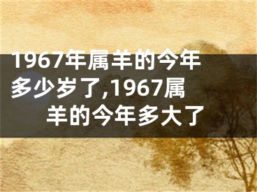1967年属羊的今年多少岁了,1967属羊的今年多大了