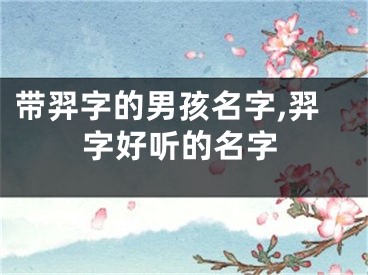 带羿字的男孩名字,羿字好听的名字