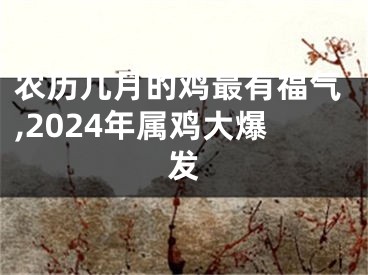 农历几月的鸡最有福气,2024年属鸡大爆发