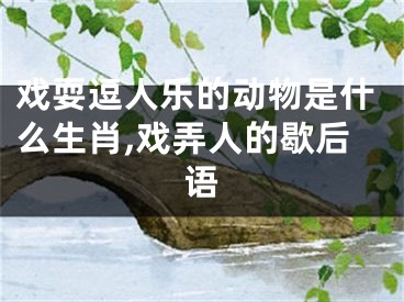 戏耍逗人乐的动物是什么生肖,戏弄人的歇后语