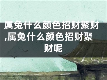 属兔什么颜色招财聚财,属兔什么颜色招财聚财呢