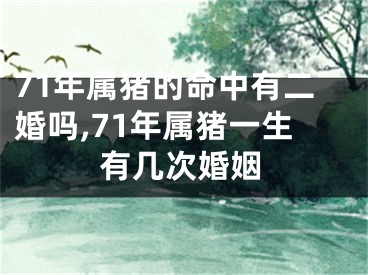 71年属猪的命中有二婚吗,71年属猪一生有几次婚姻