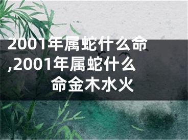 2001年属蛇什么命,2001年属蛇什么命金木水火