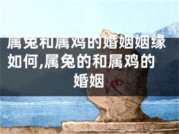 属兔和属鸡的婚姻姻缘如何,属兔的和属鸡的婚姻