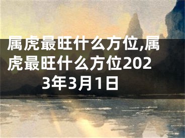 属虎最旺什么方位,属虎最旺什么方位2023年3月1日