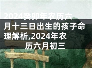 2024癸卯年农历六月十三日出生的孩子命理解析,2024年农历六月初三