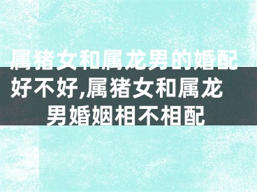 属猪女和属龙男的婚配好不好,属猪女和属龙男婚姻相不相配