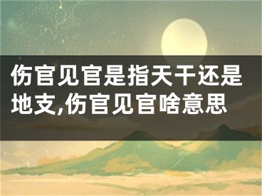 伤官见官是指天干还是地支,伤官见官啥意思