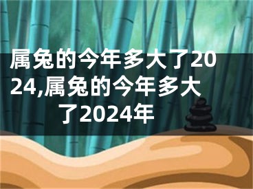 属兔的今年多大了2024,属兔的今年多大了2024年