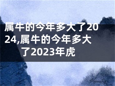 属牛的今年多大了2024,属牛的今年多大了2023年虎