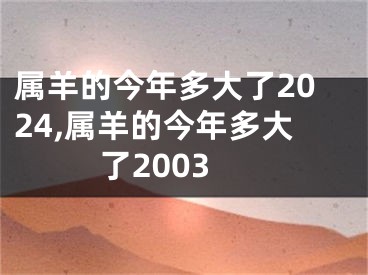 属羊的今年多大了2024,属羊的今年多大了2003