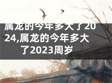 属龙的今年多大了2024,属龙的今年多大了2023周岁