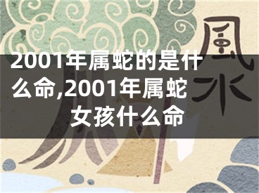 2001年属蛇的是什么命,2001年属蛇女孩什么命