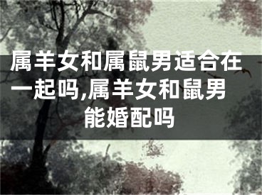 属羊女和属鼠男适合在一起吗,属羊女和鼠男能婚配吗