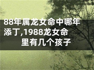 88年属龙女命中哪年添丁,1988龙女命里有几个孩子
