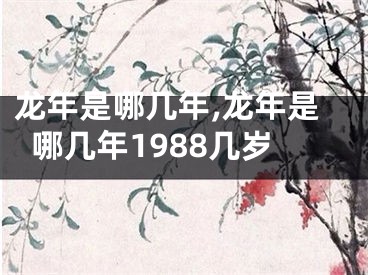 龙年是哪几年,龙年是哪几年1988几岁