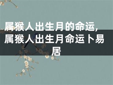 属猴人出生月的命运,属猴人出生月命运卜易居