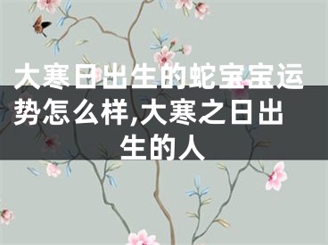 大寒日出生的蛇宝宝运势怎么样,大寒之日出生的人