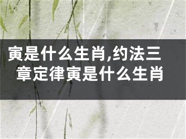 寅是什么生肖,约法三章定律寅是什么生肖