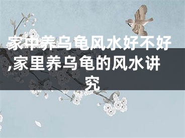 家中养乌龟风水好不好,家里养乌龟的风水讲究