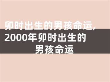 卯时出生的男孩命运,2000年卯时出生的男孩命运