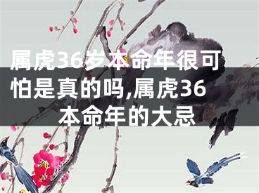 属虎36岁本命年很可怕是真的吗,属虎36本命年的大忌