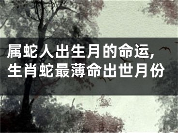 属蛇人出生月的命运,生肖蛇最薄命出世月份