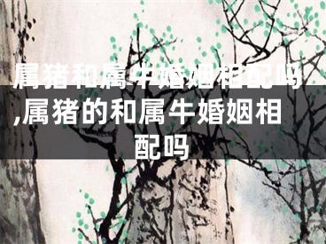 属猪和属牛婚姻相配吗,属猪的和属牛婚姻相配吗
