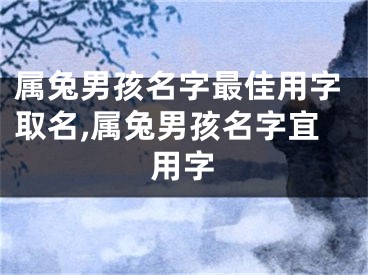 属兔男孩名字最佳用字取名,属兔男孩名字宜用字