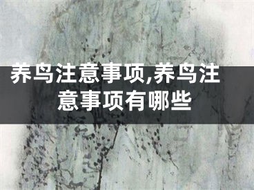 养鸟注意事项,养鸟注意事项有哪些