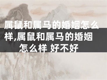 属鼠和属马的婚姻怎么样,属鼠和属马的婚姻怎么样 好不好