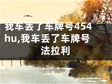 我车丢了车牌号454hu,我车丢了车牌号法拉利