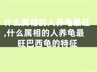 什么属相的人养龟最旺,什么属相的人养龟最旺巴西龟的特征