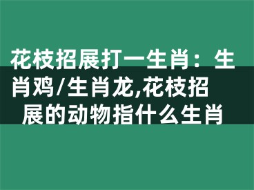 花枝招展打一生肖：生肖鸡/生肖龙,花枝招展的动物指什么生肖