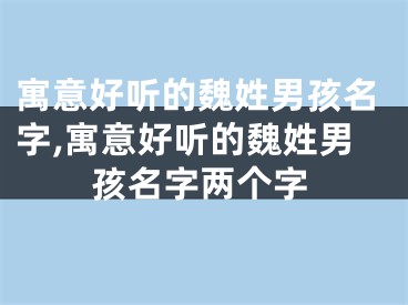 寓意好听的魏姓男孩名字,寓意好听的魏姓男孩名字两个字