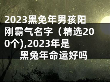 2023黑免年男孩阳刚霸气名字（精选200个),2023年是黑兔年命运好吗