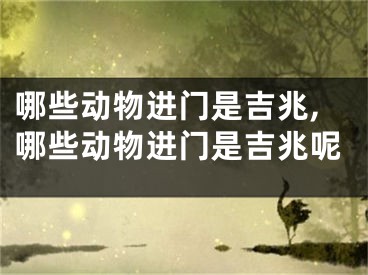 哪些动物进门是吉兆,哪些动物进门是吉兆呢