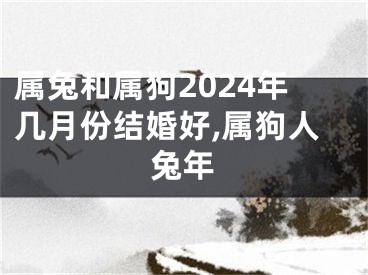 属兔和属狗2024年几月份结婚好,属狗人兔年