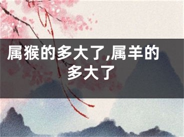 属猴的多大了,属羊的多大了