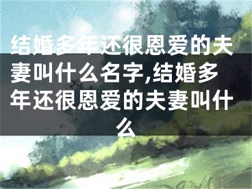 结婚多年还很恩爱的夫妻叫什么名字,结婚多年还很恩爱的夫妻叫什么