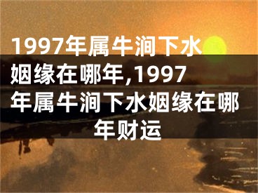 1997年属牛涧下水姻缘在哪年,1997年属牛涧下水姻缘在哪年财运