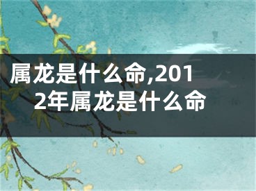 属龙是什么命,2012年属龙是什么命