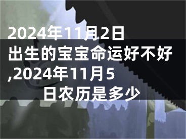 2024年11月2日出生的宝宝命运好不好,2024年11月5日农历是多少
