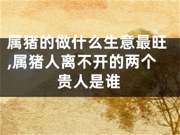 属猪的做什么生意最旺,属猪人离不开的两个贵人是谁