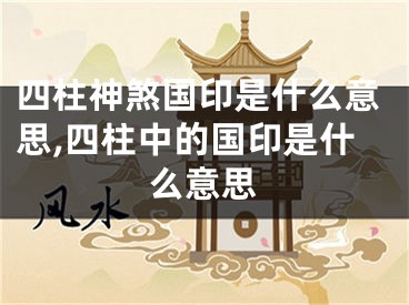 四柱神煞国印是什么意思,四柱中的国印是什么意思