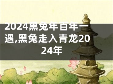 2024黑兔年百年一遇,黑兔走入青龙2024年