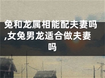 兔和龙属相能配夫妻吗,女兔男龙适合做夫妻吗