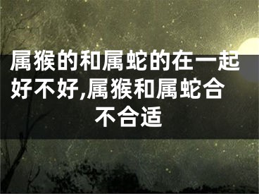 属猴的和属蛇的在一起好不好,属猴和属蛇合不合适