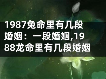 1987兔命里有几段婚姻：一段婚姻,1988龙命里有几段婚姻
